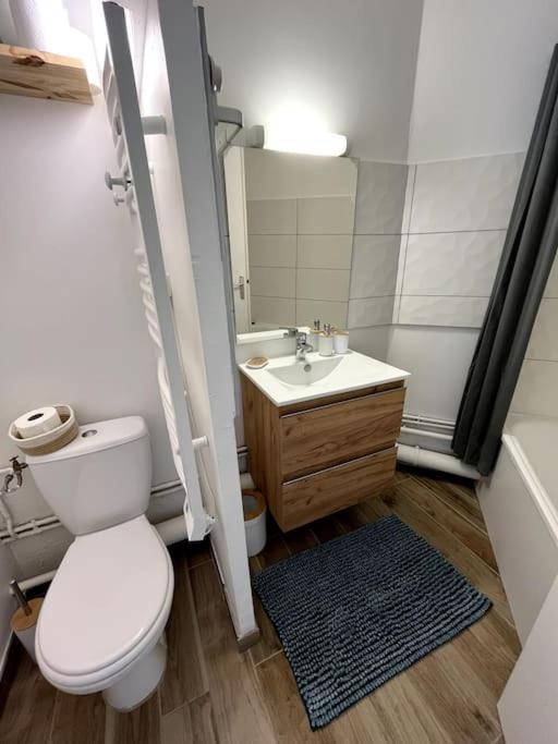 The Jungle Studio, Loggia & Parking Dans Residence Romans-sur-Isère المظهر الخارجي الصورة