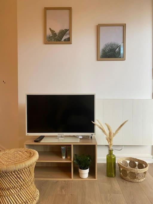 The Jungle Studio, Loggia & Parking Dans Residence Romans-sur-Isère المظهر الخارجي الصورة