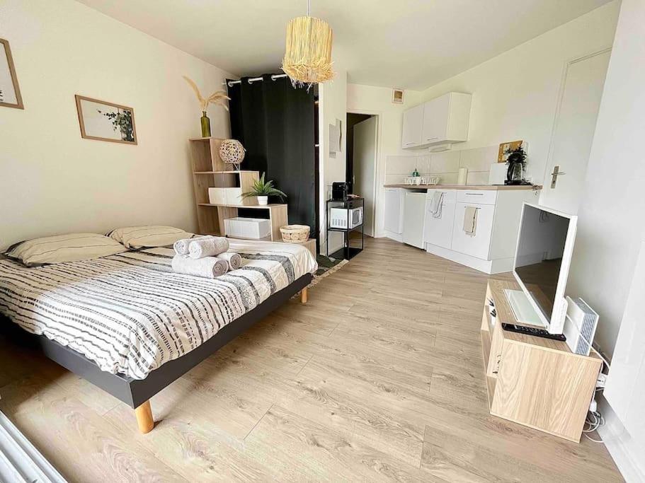 The Jungle Studio, Loggia & Parking Dans Residence Romans-sur-Isère المظهر الخارجي الصورة