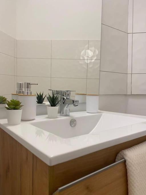 The Jungle Studio, Loggia & Parking Dans Residence Romans-sur-Isère المظهر الخارجي الصورة